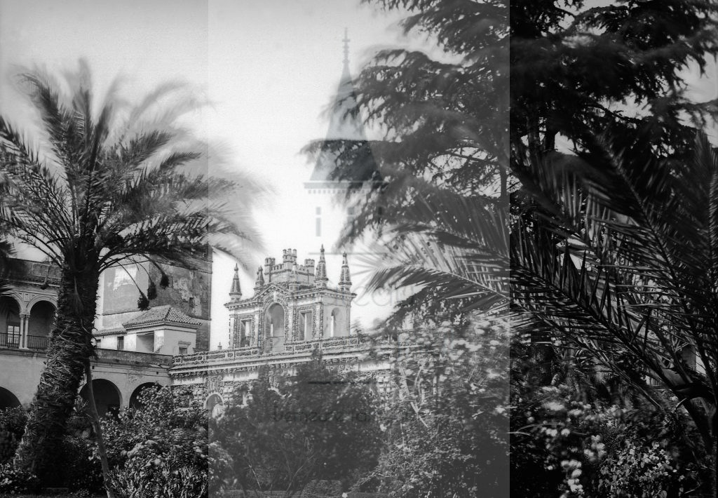 New - Château de Volognat - Photos - Hubert Vaffier - Seville - Jardin de l'Alcaza - 1889-04-25 - 1658