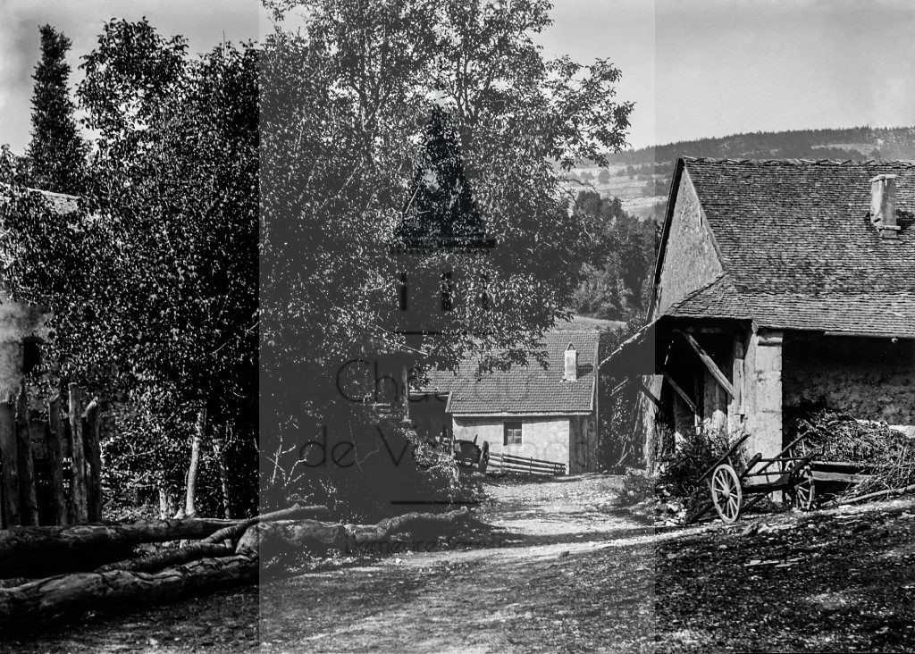 New - Château de Volognat - Photos - Hubert Vaffier - Champfromier - Une rue du village - 1895-09-25 - 3063