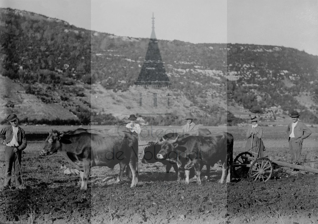 New - Château de Volognat - Photos - Hubert Vaffier - La Tour de Meix - Labourage au champ à foin - 1895-10-14 - 3071