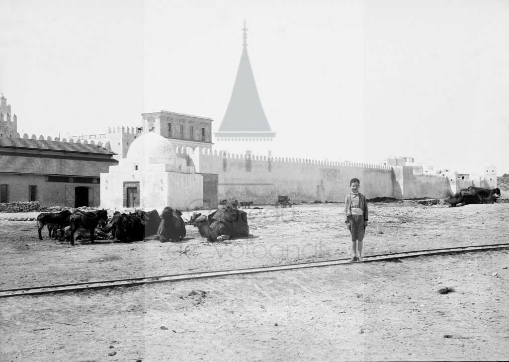 New - Château de Volognat - Photos - Hubert Vaffier - Sousse - Groupe de chameaux près de la porte de la marine - 1885-04-24 - 628
