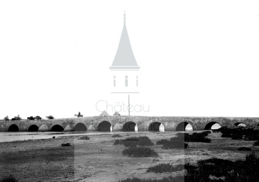 Château de Volognat - Photos - Hubert Vaffier - Herbla - pont d'Alcantara - 04/05/1885 - 659