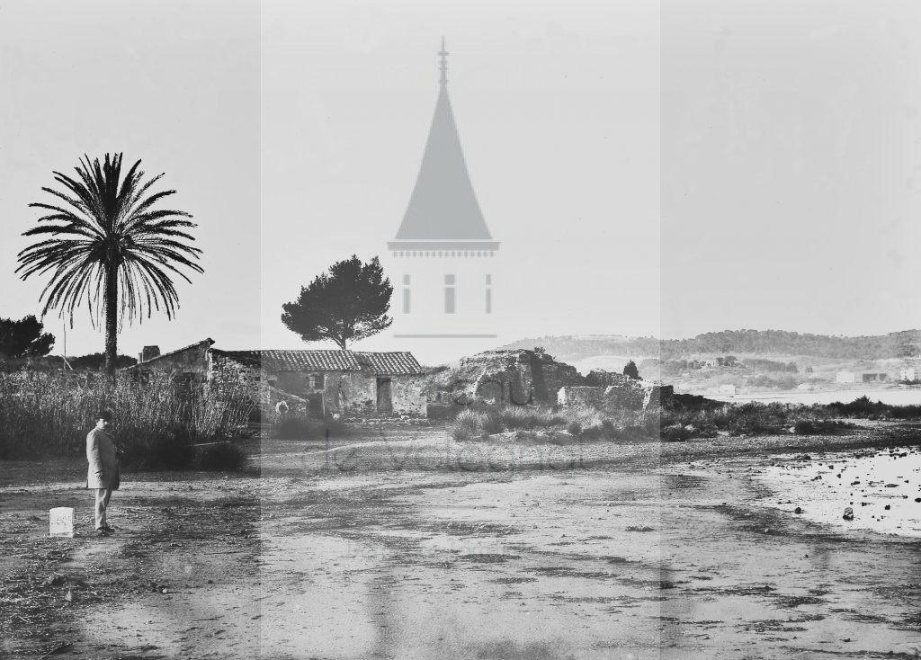 New - Château de Volognat - Photos - Hubert Vaffier - Toulon - Palmier sur la route de fort - 1886-01-03 - 813
