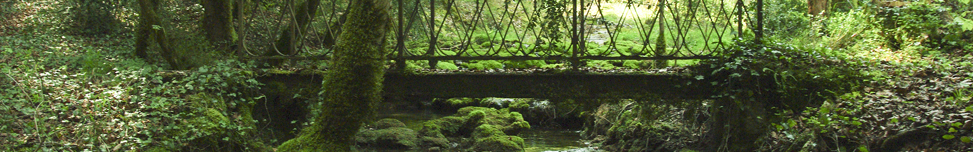 Ring of Kerry, County Kerry, Ireland